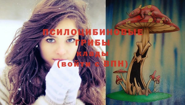 a pvp Богданович