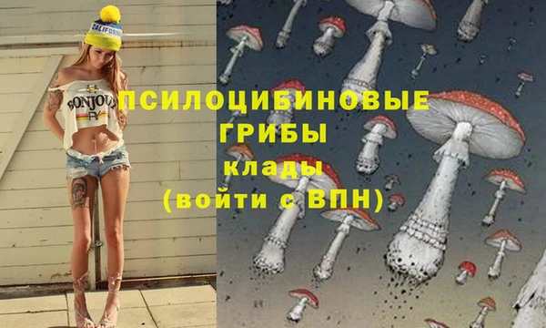 гидра Бородино