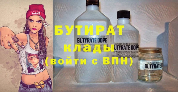 гидра Бородино
