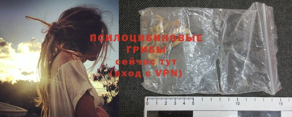 ПСИЛОЦИБИНОВЫЕ ГРИБЫ Кулебаки