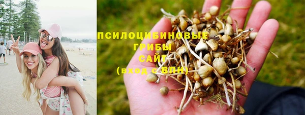 a pvp Богданович